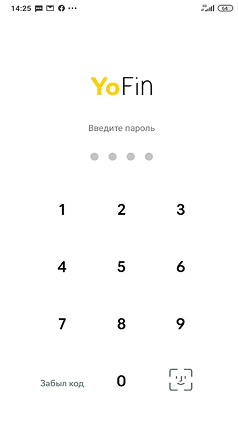 Мобильный интерфейс YoFin